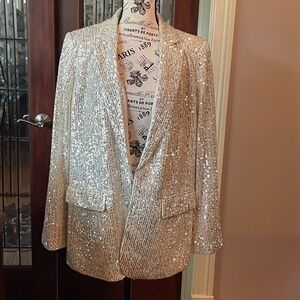 Ann Taylor Loft Sequin Blazer - Size 12